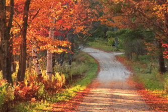 Pensez à la vie comme si c’était un chemin.