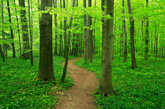 Life can take many different paths.